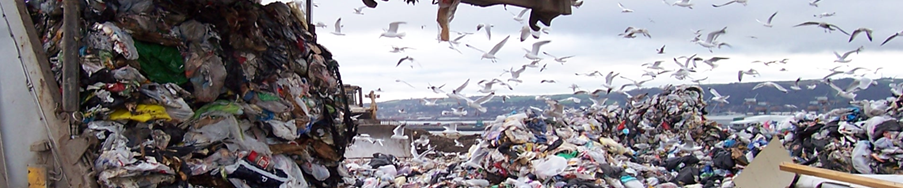 Landfill-For-Interior.jpg